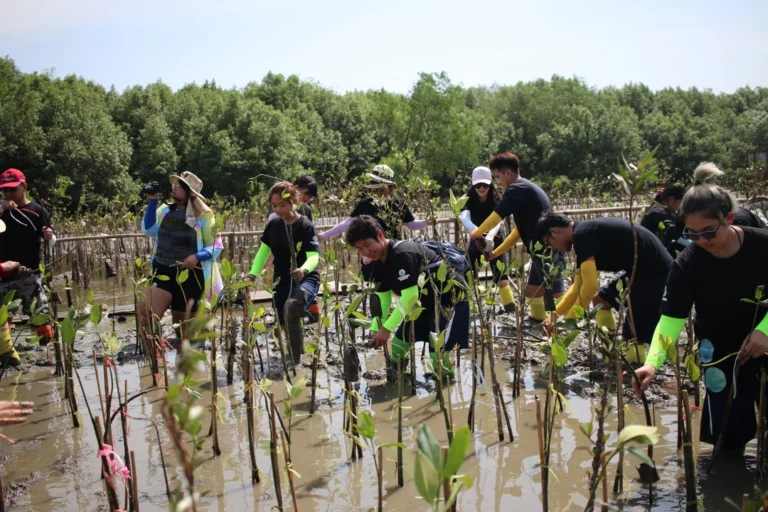 10-CSR-2020-INNO-IMG