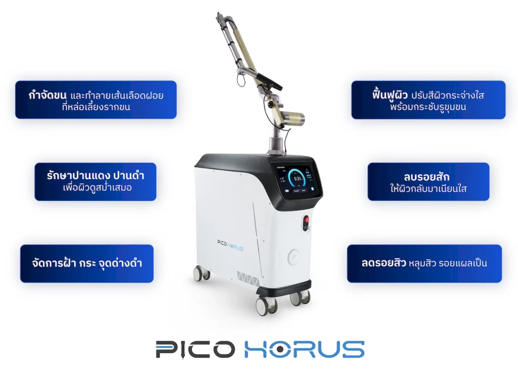 Pico Horus เหมาะกับใคร และช่วยอะไรได้บ้าง ?