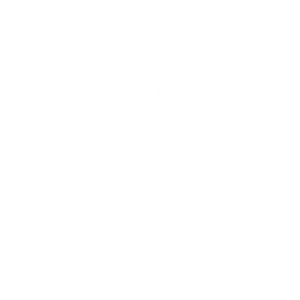 RoHS logo